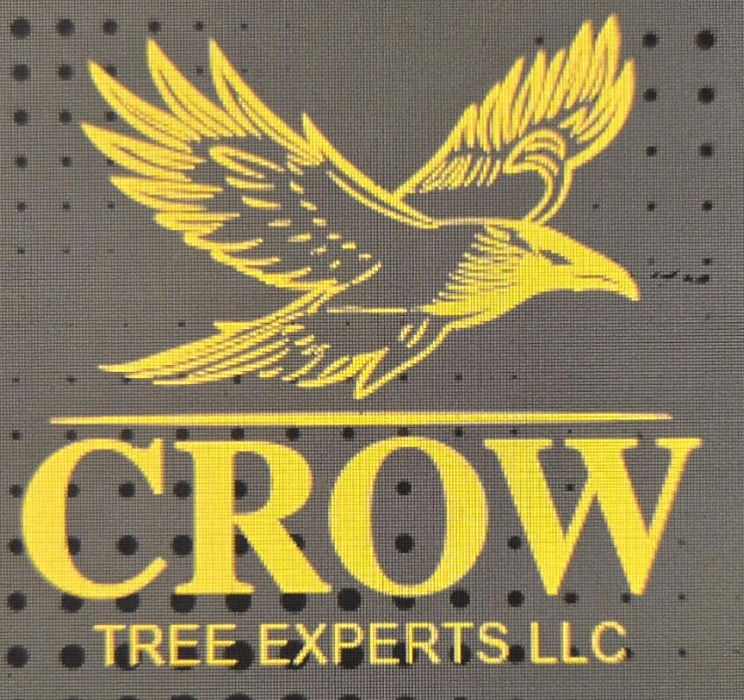 Crow Tree Experts LLC logo